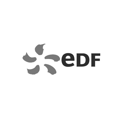 EDF Reporting ESEF